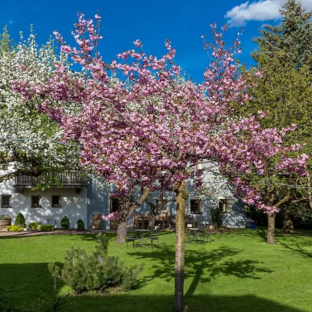 Mitterdorfer Гостевой дом 3*