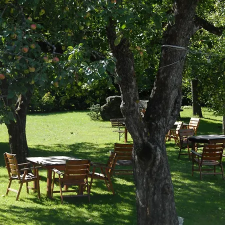 Mitterdorfer 게스트하우스